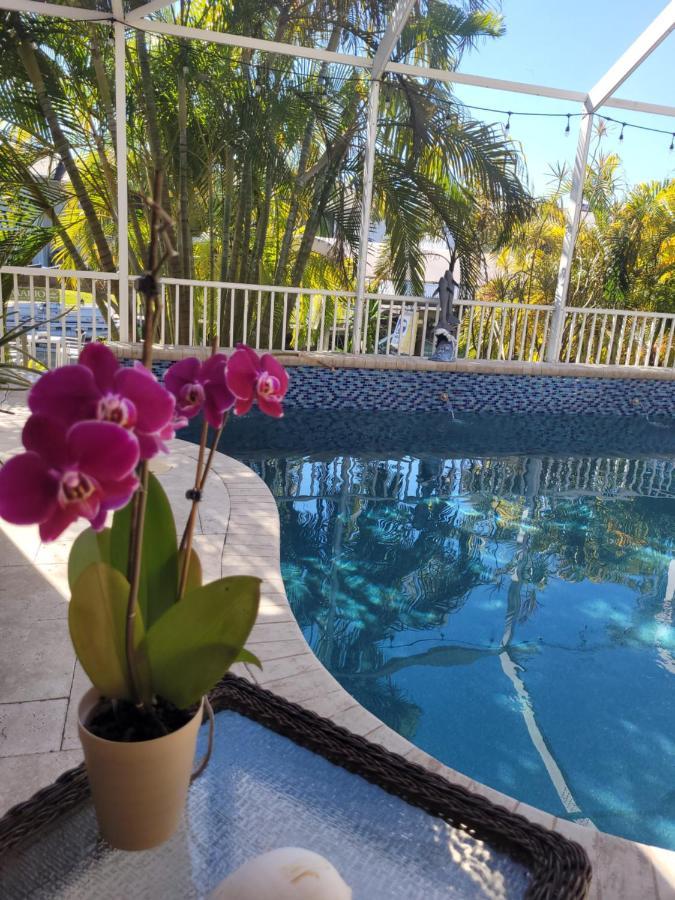 Cape Paradise - Your Luxury Tropical Retreat Privatunterkunft